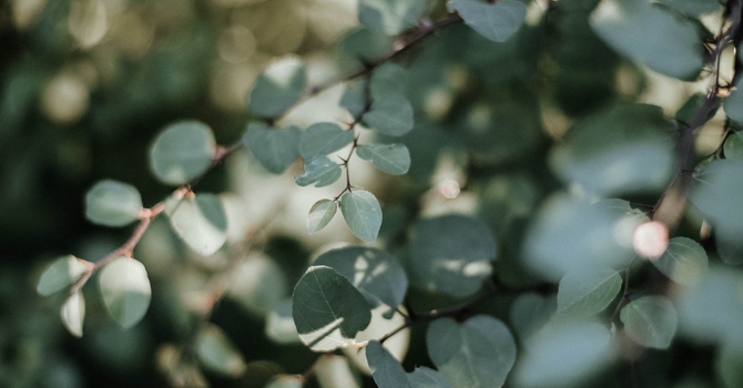 Counselling, Psychotherapy