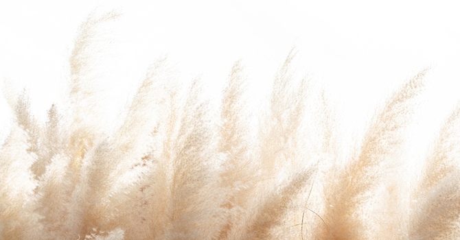 Counselling, Psychotherapy